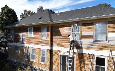 Cedar Shingles Exterior Painting west newbury Essex County MA Cedar Shingles Exterior Painting west newbury Essex County MA