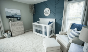 Professional Nursery Painting Near me Professional Nursery Painting Near me