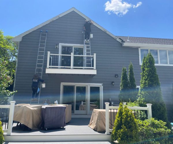 professional-painters