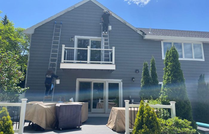 professional-painters